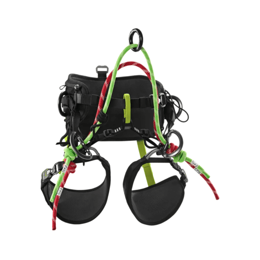 TreeRex II Tree Climbing Harness