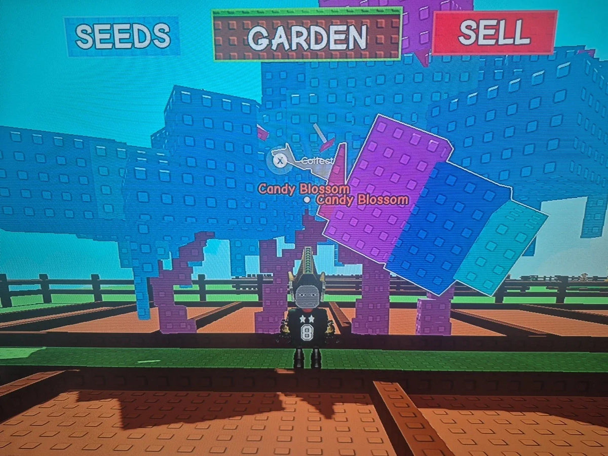Candy Blossom Account Grow A Garden (4 Candy Blossoms)